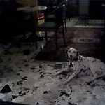 Hotel Antonella Caorle