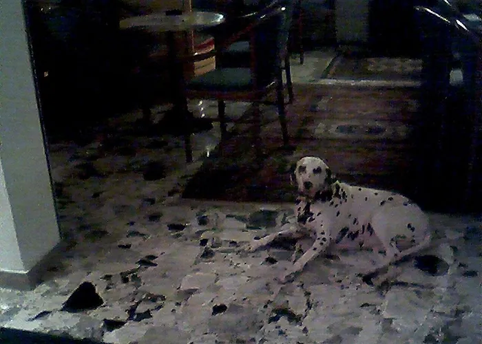 Hotell Antonella Caorle