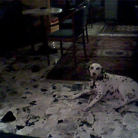 Hotel Antonella Caorle